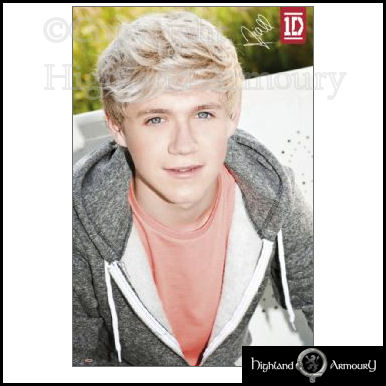 One Direction Niall Horan Poster MAXI